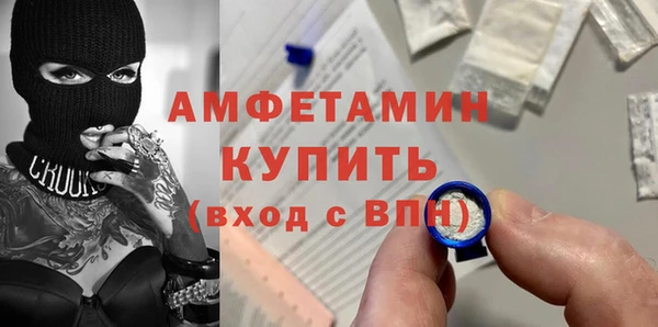 индика Беломорск