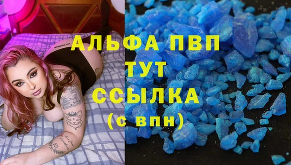 индика Беломорск