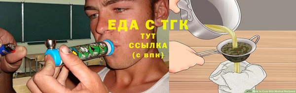 индика Беломорск