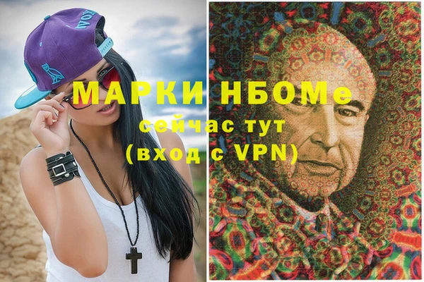 индика Беломорск