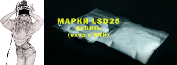 мдпв Богородск