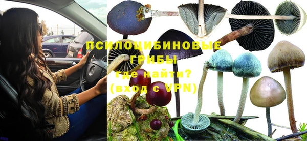мдпв Богородск