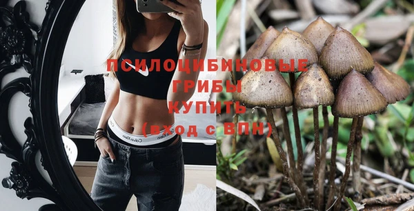 синтетический гашиш Белокуриха