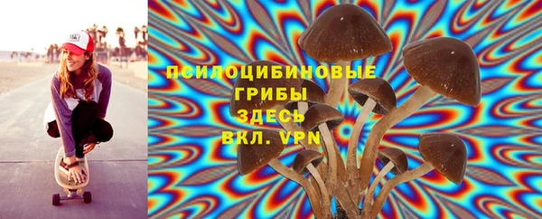 синтетический гашиш Белокуриха
