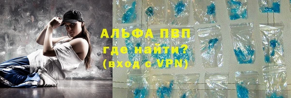 индика Беломорск