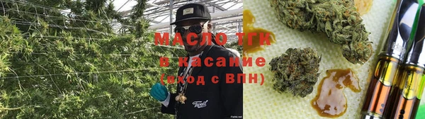 индика Беломорск