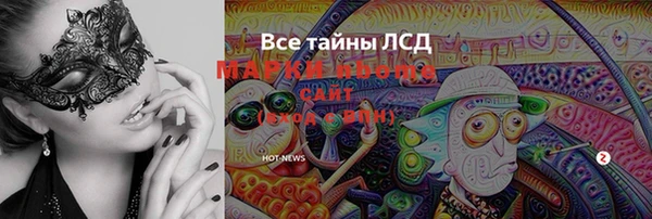 индика Беломорск